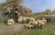 unknow artist Sheep 138 USA oil painting artist